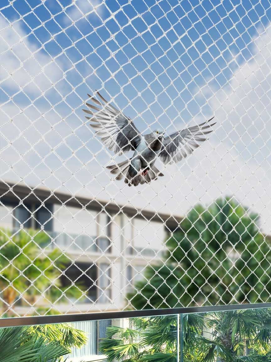 https://arksafetynet.com/wp-content/uploads/2025/12/bird-safety-nets.jpg